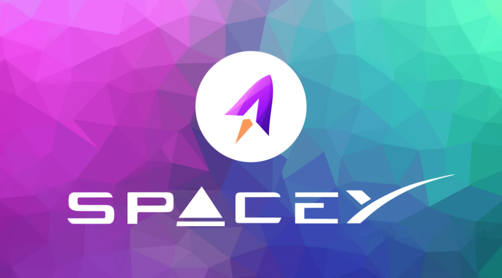 SpaceY2025 (SPAY) Nedir ?